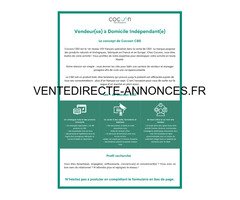 Vendeur(euse) à Domicile Indépendant(e)
